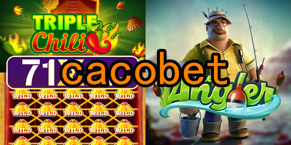 Compatibilidade e Acessibilidade